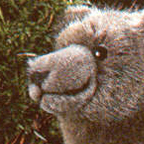 Kosen Mini Brown Bear "Matti"