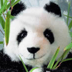 Kosen Limited Edition Giant Panda