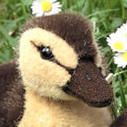 Kosen Yellow Duckling