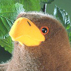 Kosen Female Bald Eagle "Selma"