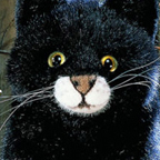 Kosen Cat "Eduard"