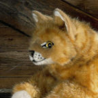 Kosen Red Striped Cat "Foxi"