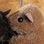 Kosen Light Brown Mouse