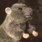 Kosen Brown Barn Rat "Rudi"