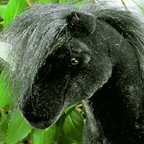 Kosen Horse "Santana"