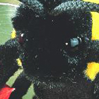 Kosen Bumble Bee "Linchen"