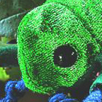 Kosen Rose Chafer "Funkel"