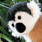 Kosen Japanese Macaque "Imo"