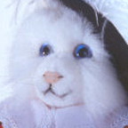 Kosen Fairy Tale World Small Musketeer - Small White