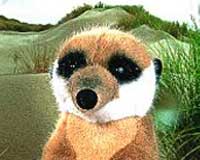 FIELD, PLAIN, & VELT ANIMALS