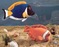 FISH & SEA CREATURES!