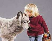 KOSEN STUDIO ANIMALS