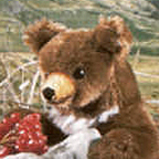 Kosen Limited Edition Cinnamon Bear