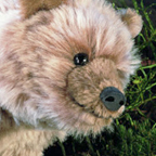 Kosen Limited Edition Grizzly Bear