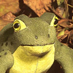 Kosen Frog "Heinrich"