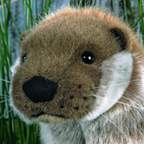 Kosen Otter "Ollie"