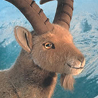 Kosen Ibex Goat "Louis"