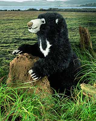 New from Kosen: Large Sloth Bear "Yala".