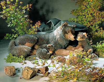 New from Kosen: Large Wolf "Janina" (Studio Edition). 