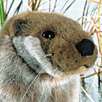 Fish Otter "Otto" with Fish "Rotfeder"