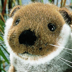 Fish Otter Cub "Ottie"