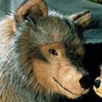 Studio Series Wolf  "Janina"