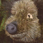 Kosen Female Wild Boar "Berta"