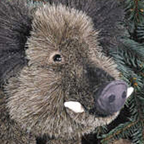 Kosen Male Wild Boar "Emil"