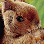 Kosen Small Squirrel