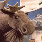 Kosen Moose