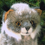 Kosen Small Lynx "Juri"